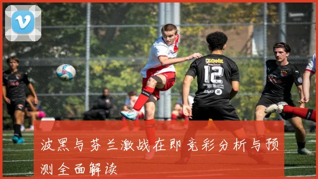 波黑与芬兰激战在即竞彩分析与预测全面解读