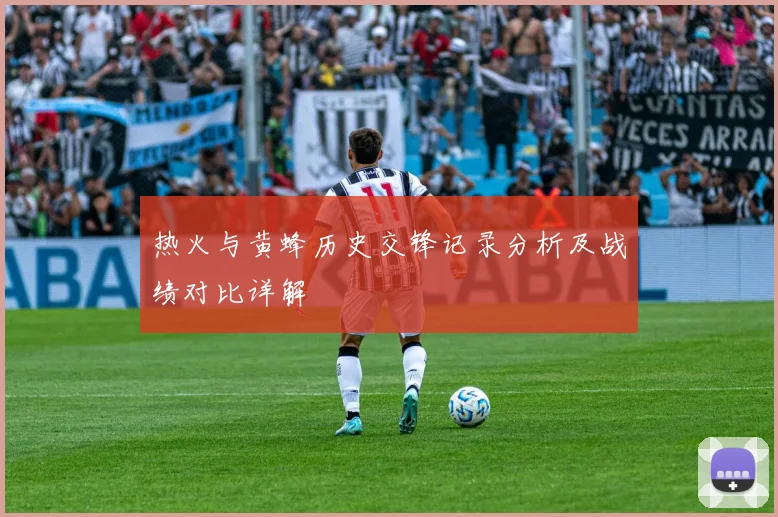 热火与黄蜂历史交锋记录分析及战绩对比详解