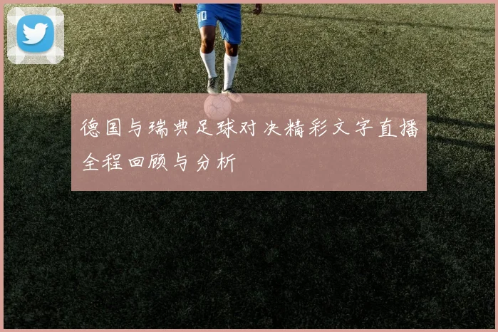 德国与瑞典足球对决精彩文字直播全程回顾与分析