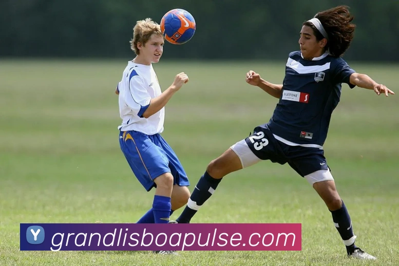 澳门新葡京平台生态图